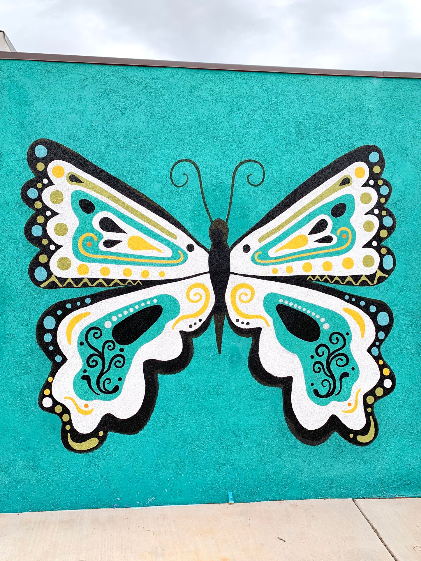 Butterfly Mural- March 1st, 2nd, 3rd, 4th